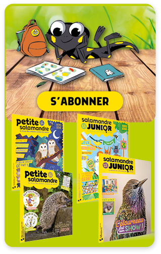 Publicité abonnement magazine jeunesse