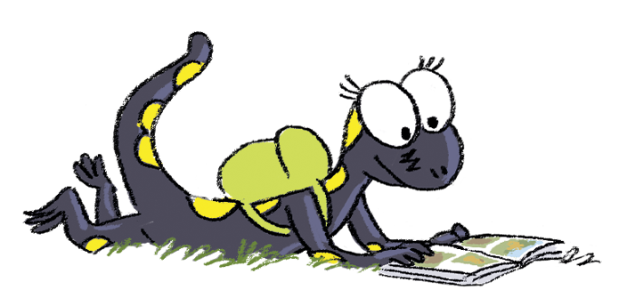 Mascotte Salamandre Junior