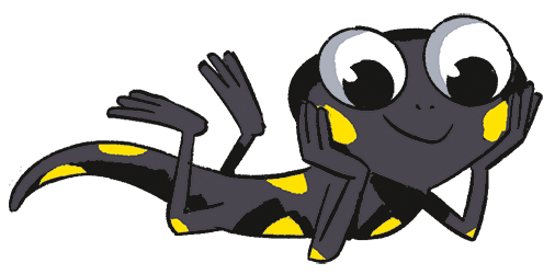 Mascotte Petite Salamandre